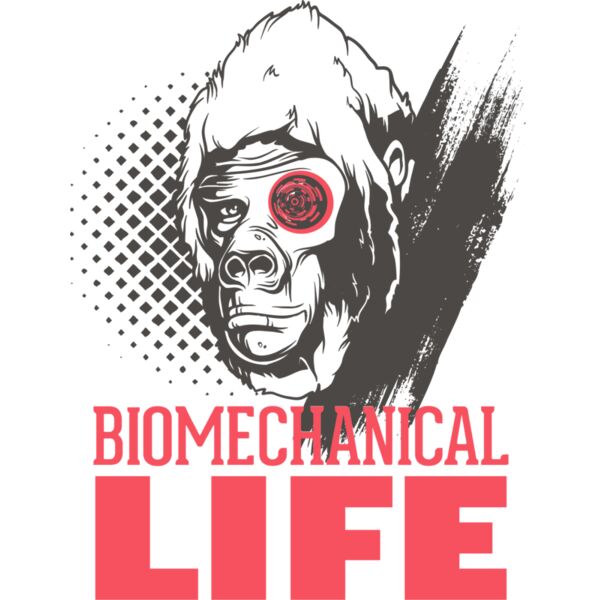 2016 03 14 046 Thumbnail